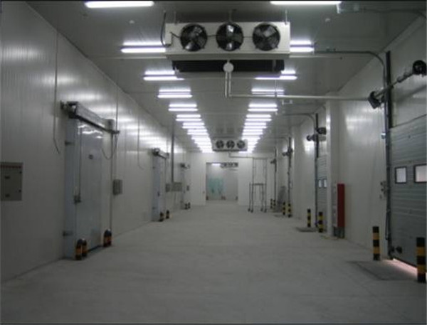 恒溫冷庫,恒溫冷庫廠(chǎng)家,恒溫冷庫建造,恒溫冷庫設計,恒溫冷庫價(jià)格表