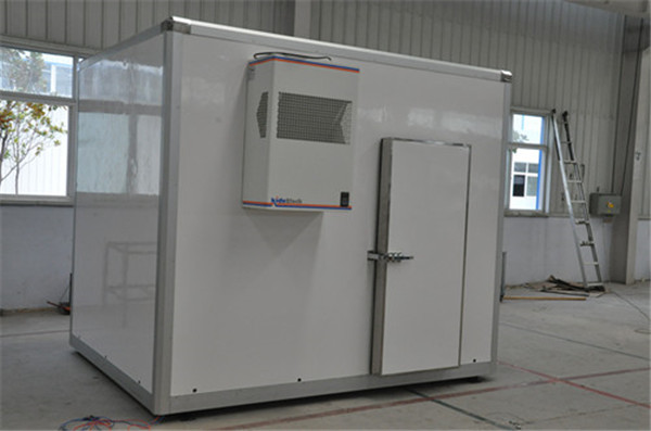 家用冷庫,家用冷庫廠(chǎng)家,家用冷庫建造,家用冷庫設計,家用冷庫價(jià)格表