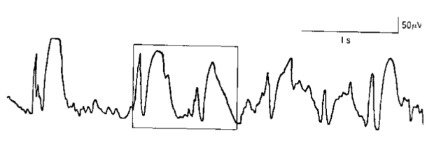 深惠城际建设最新进展（持续更新）